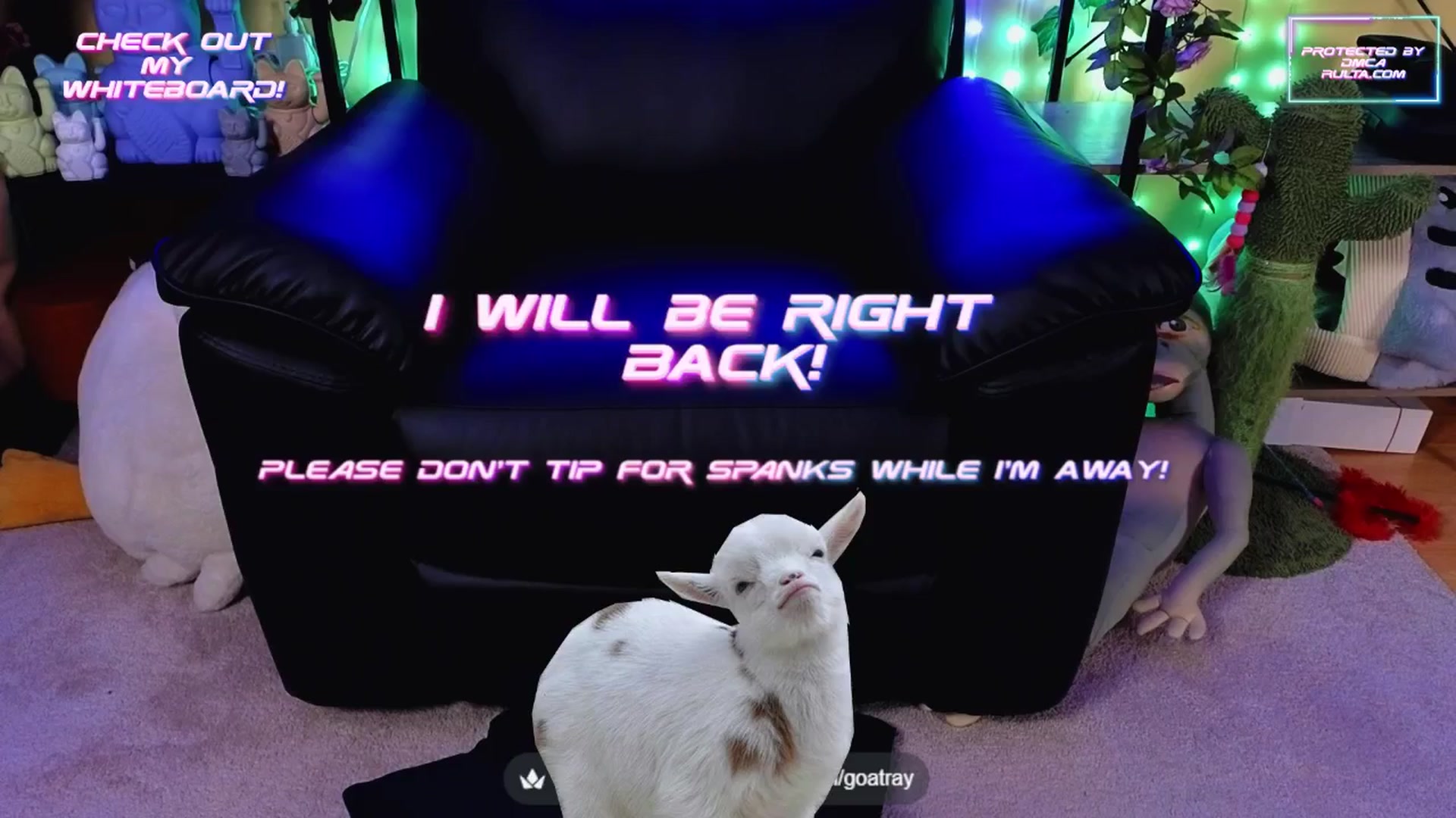 Gallery image thumbnail from TamaraRay's myfreecams stream on, 09/02/2025, 06:50 image 3 of 20