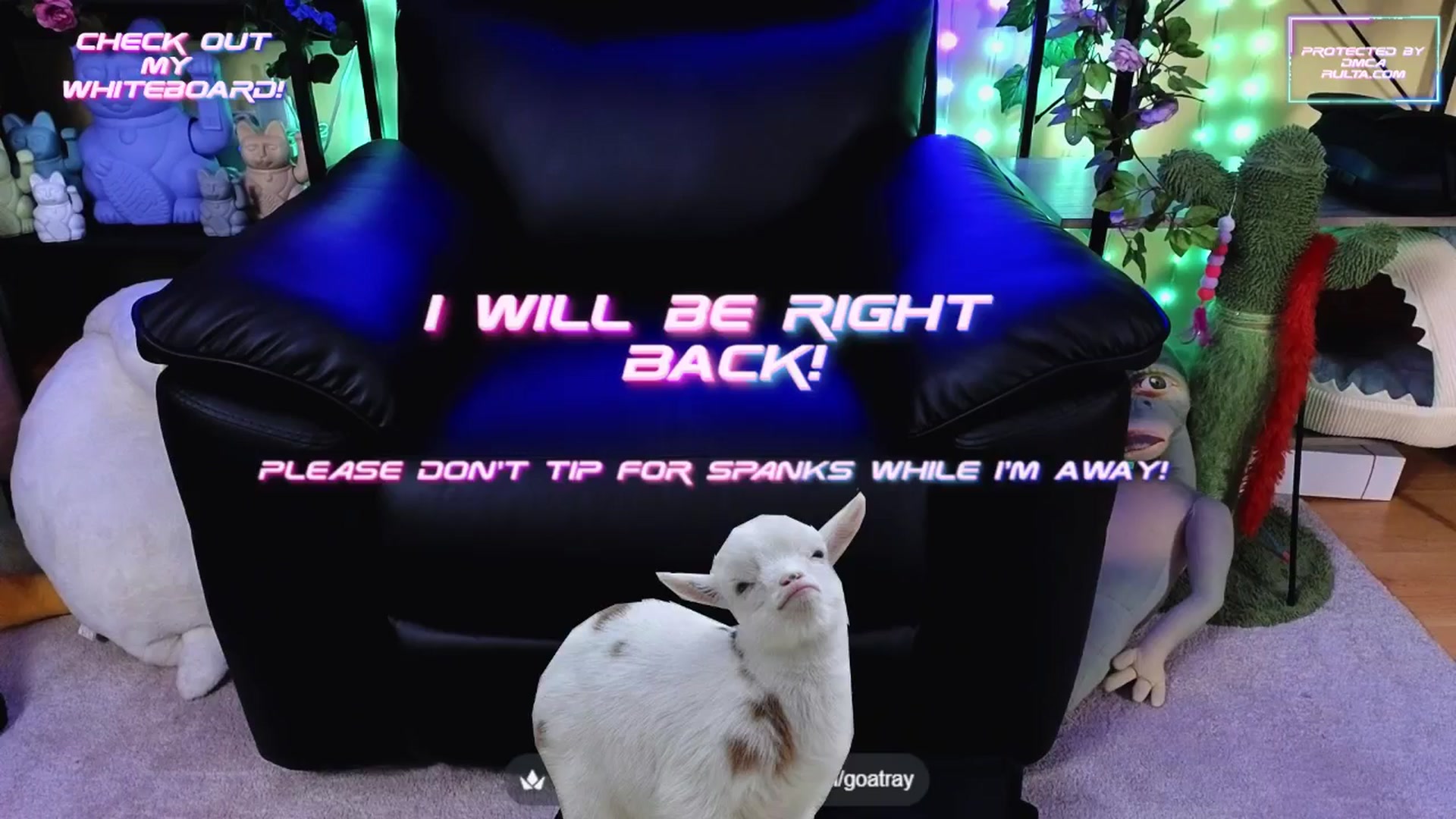 Gallery image thumbnail from TamaraRay's myfreecams stream on, 09/07/2025, 06:29 image 11 of 20