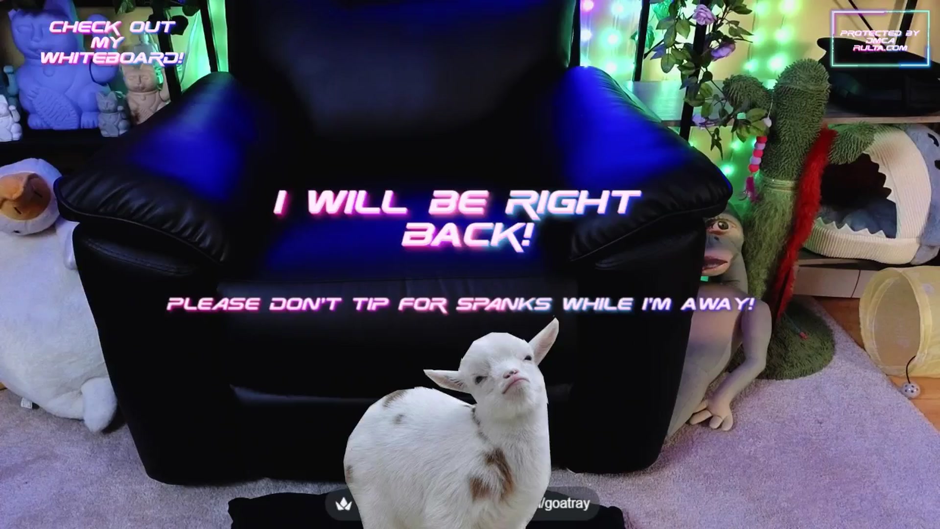 Gallery image thumbnail from TamaraRay's myfreecams stream on, 09/08/2025, 04:58 image 8 of 20