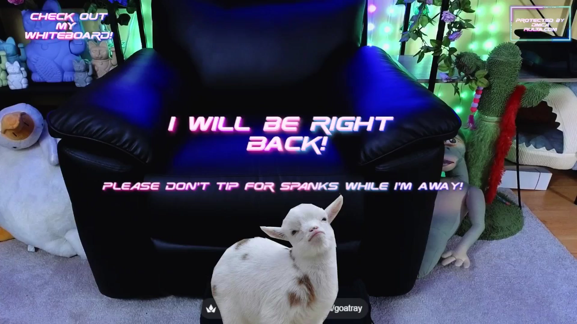 Gallery image thumbnail from TamaraRay's myfreecams stream on, 09/10/2025, 07:04 image 13 of 20