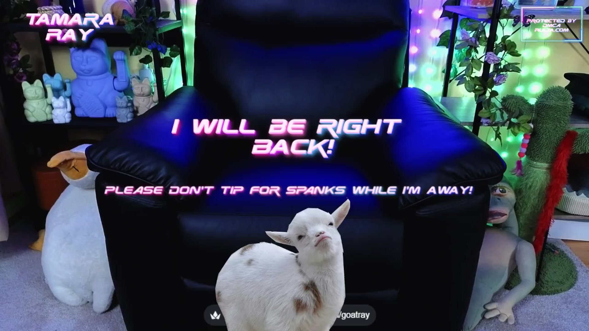 Gallery image thumbnail from TamaraRay's myfreecams stream on, 09/14/2025, 07:24 image 3 of 20