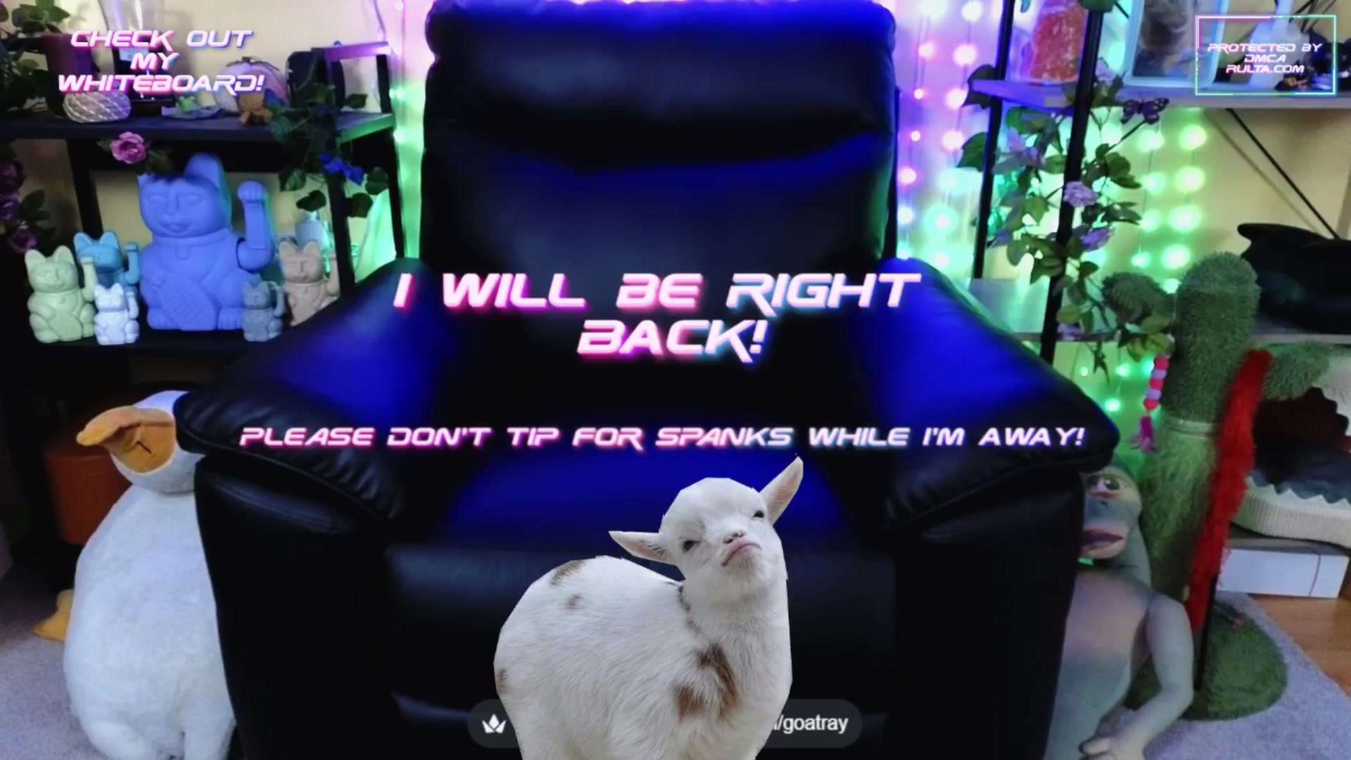 Gallery image thumbnail from TamaraRay's myfreecams stream on, 09/14/2025, 07:24 image 17 of 20