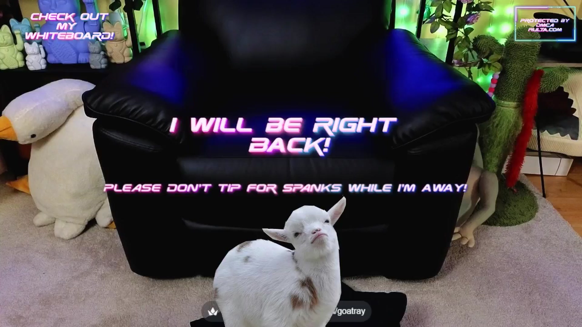 Gallery image thumbnail from TamaraRay's myfreecams stream on, 09/19/2025, 07:02 image 6 of 20