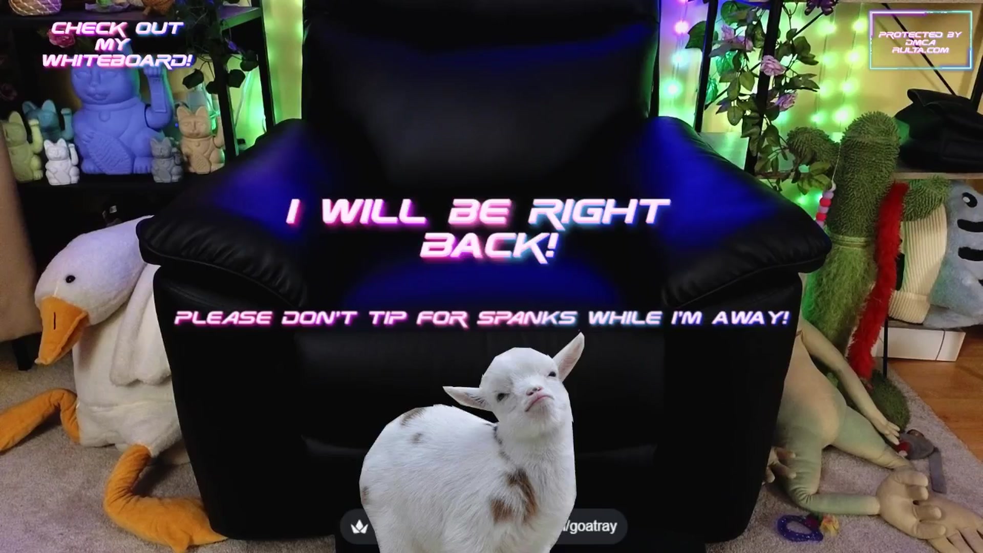 Gallery image thumbnail from TamaraRay's myfreecams stream on, 09/22/2025, 07:37 image 7 of 20