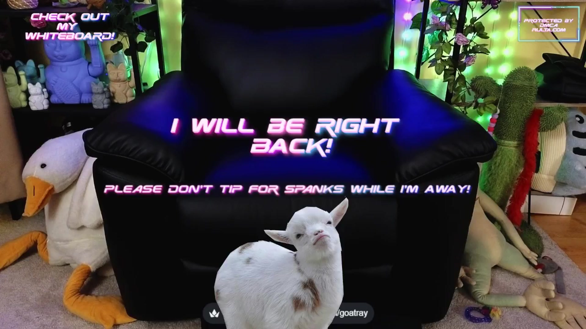 Gallery image thumbnail from TamaraRay's myfreecams stream on, 09/22/2025, 07:37 image 6 of 20