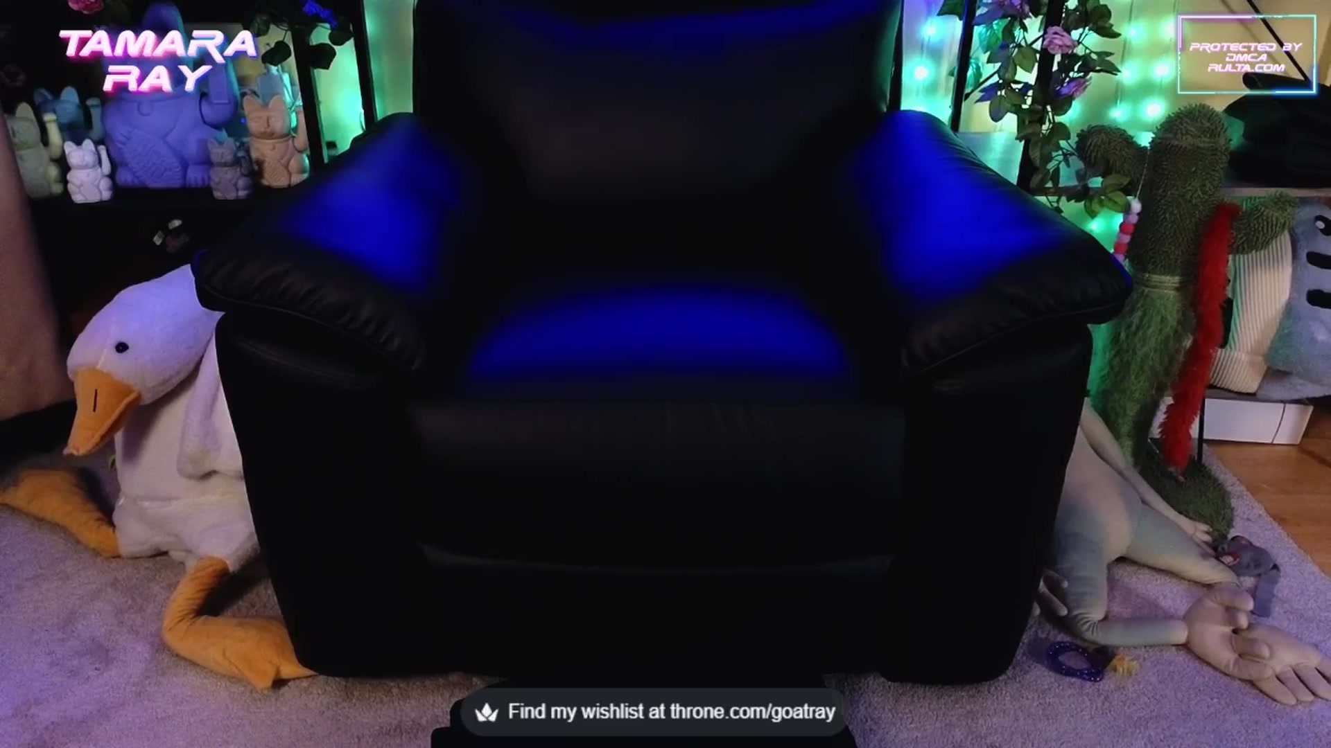 Gallery image thumbnail from TamaraRay's myfreecams stream on, 09/23/2025, 04:13 image 17 of 20