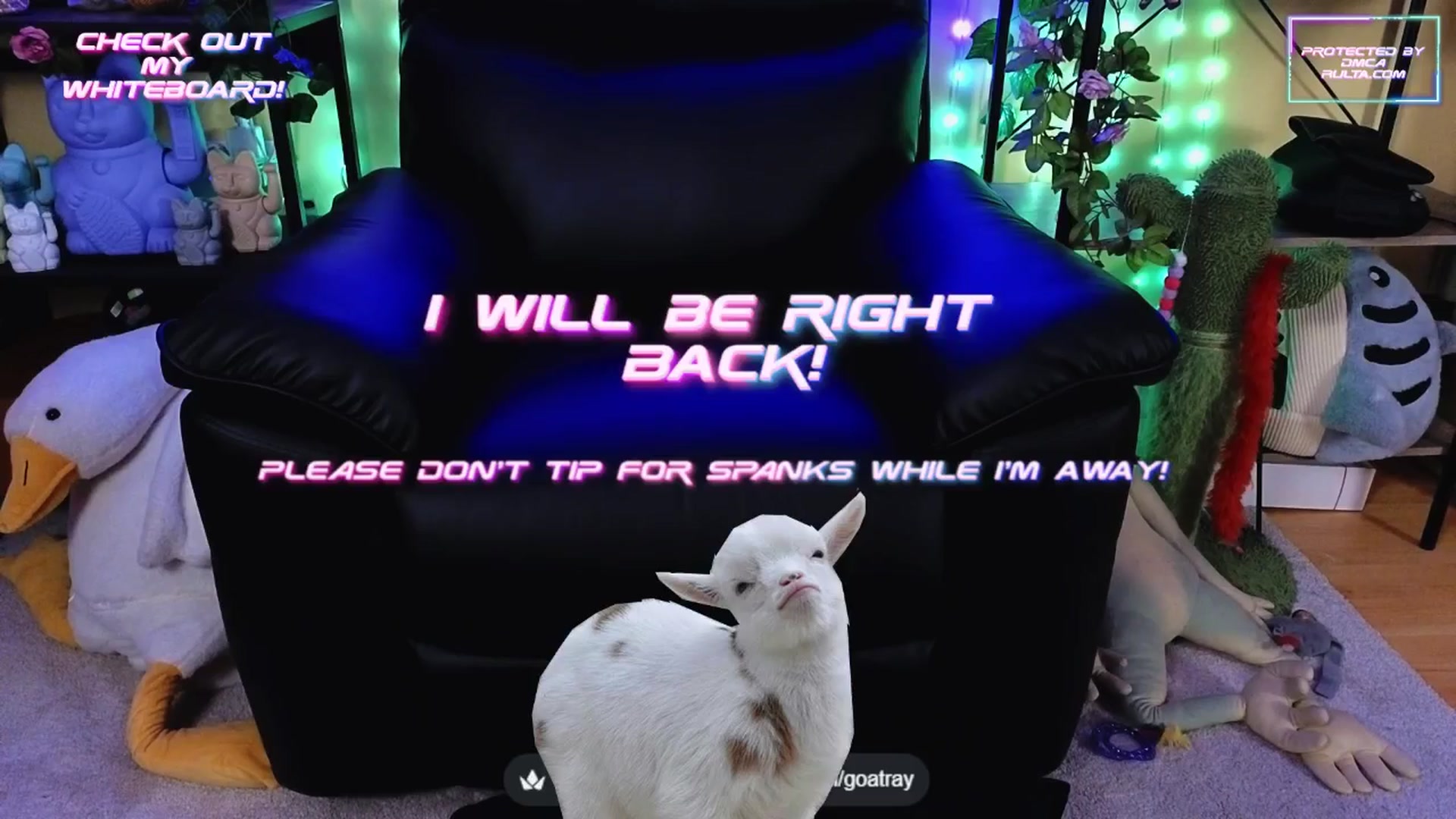 Gallery image thumbnail from TamaraRay's myfreecams stream on, 09/24/2025, 03:53 image 7 of 20