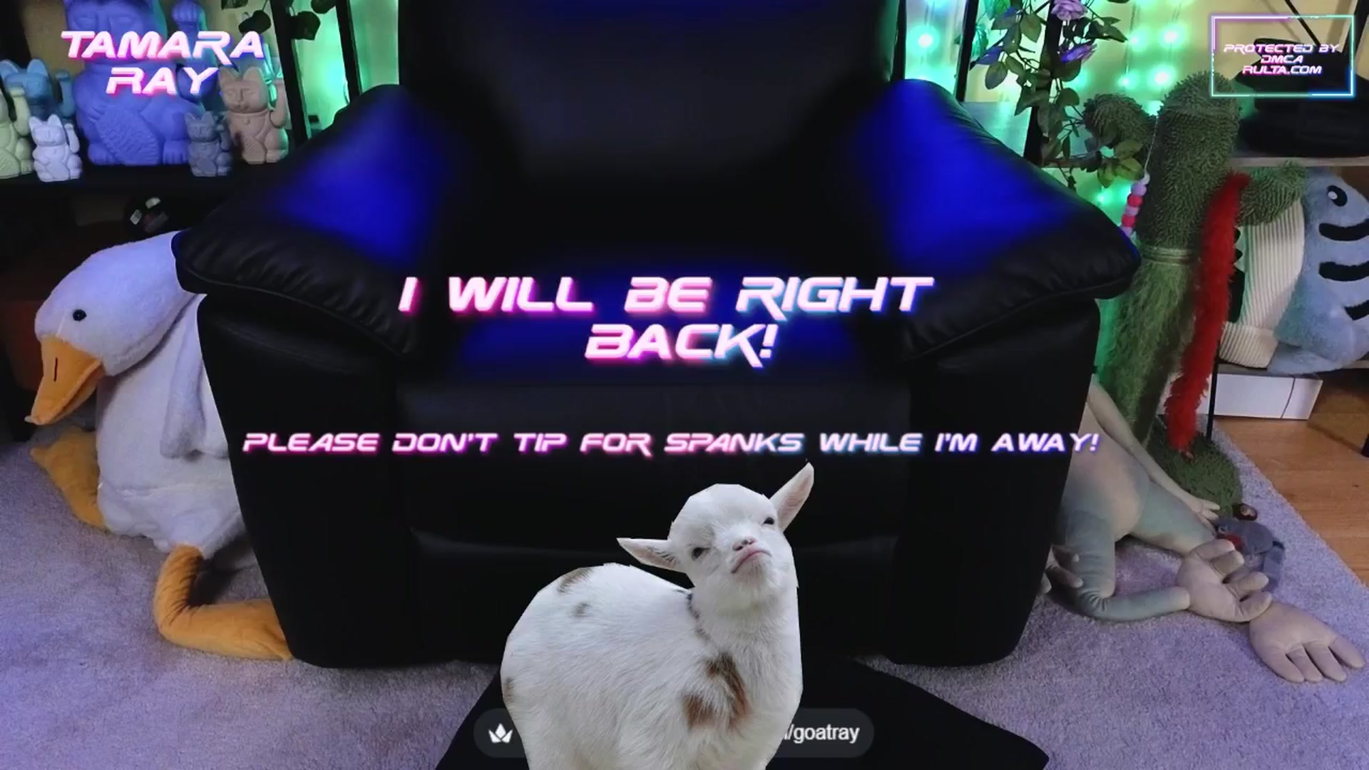 Gallery image thumbnail from TamaraRay's myfreecams stream on, 09/24/2025, 08:12 image 7 of 20