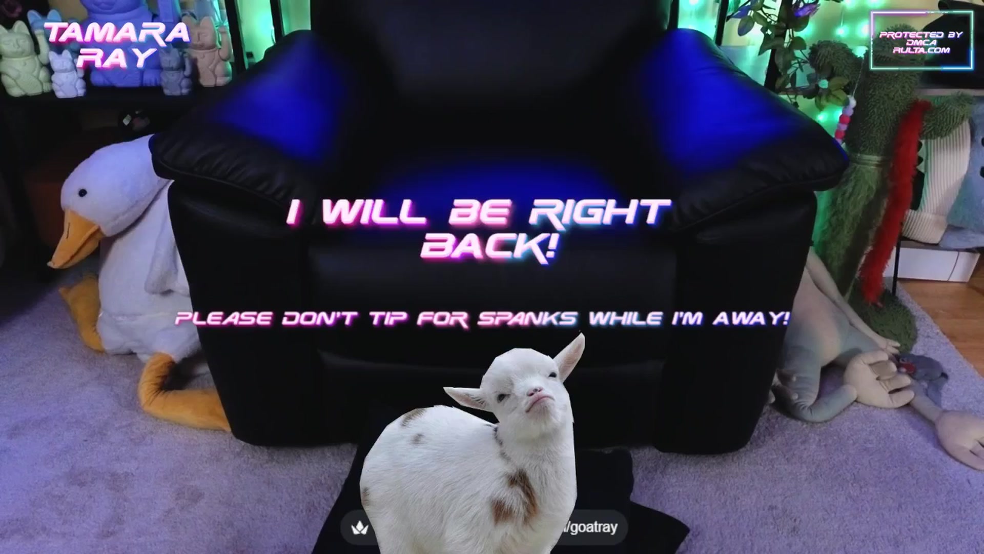 Gallery image thumbnail from TamaraRay's myfreecams stream on, 09/25/2025, 02:40 image 5 of 20