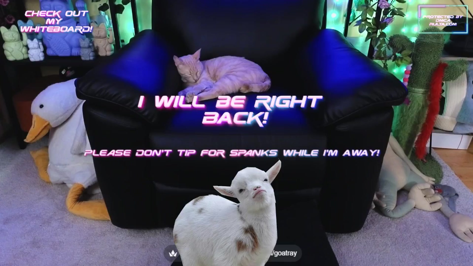 Gallery image thumbnail from TamaraRay's myfreecams stream on, 09/25/2025, 06:25 image 19 of 20