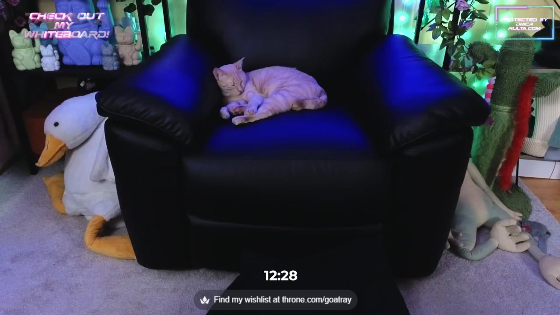 Gallery image thumbnail from TamaraRay's myfreecams stream on, 09/25/2025, 06:25 image 20 of 20