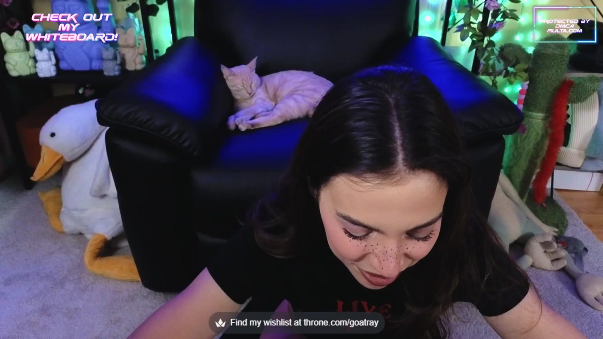 Gallery image thumbnail from TamaraRay's myfreecams stream on, 09/25/2025, 06:25 image 18 of 20