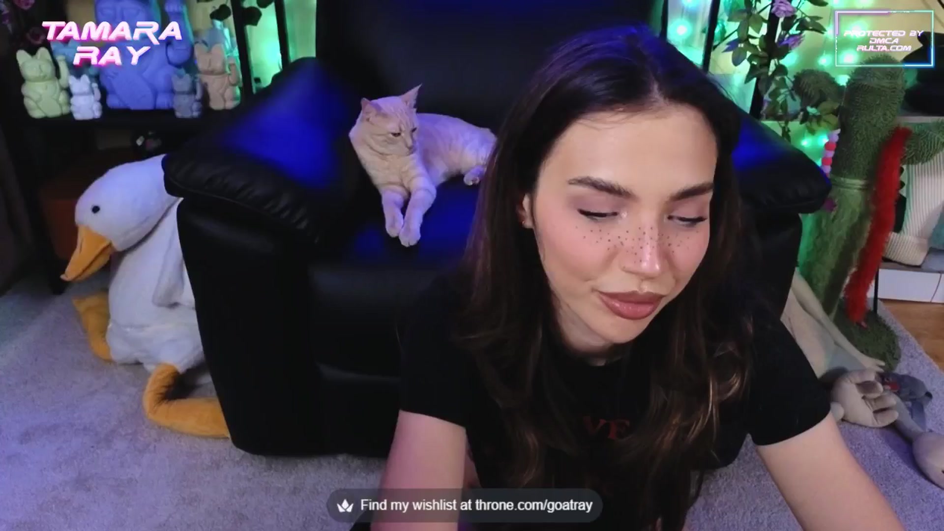 Gallery image thumbnail from TamaraRay's myfreecams stream on, 09/25/2025, 06:25 image 11 of 20