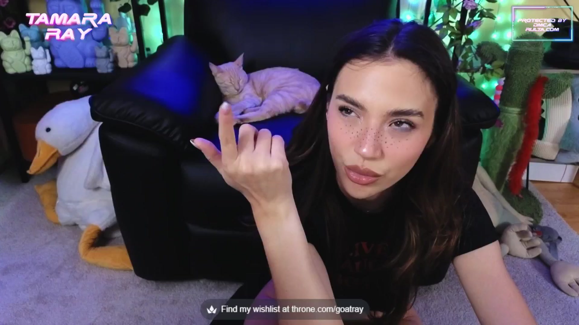 Gallery image thumbnail from TamaraRay's myfreecams stream on, 09/25/2025, 06:25 image 17 of 20