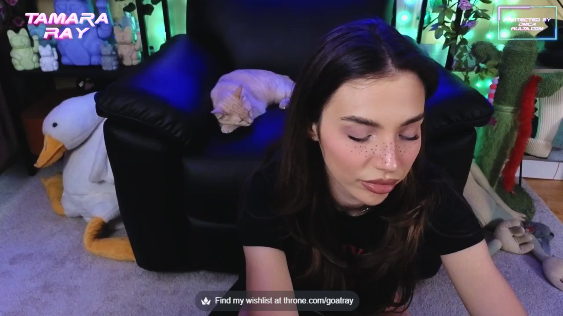 Gallery image thumbnail from TamaraRay's myfreecams stream on, 09/25/2025, 06:25 image 12 of 20