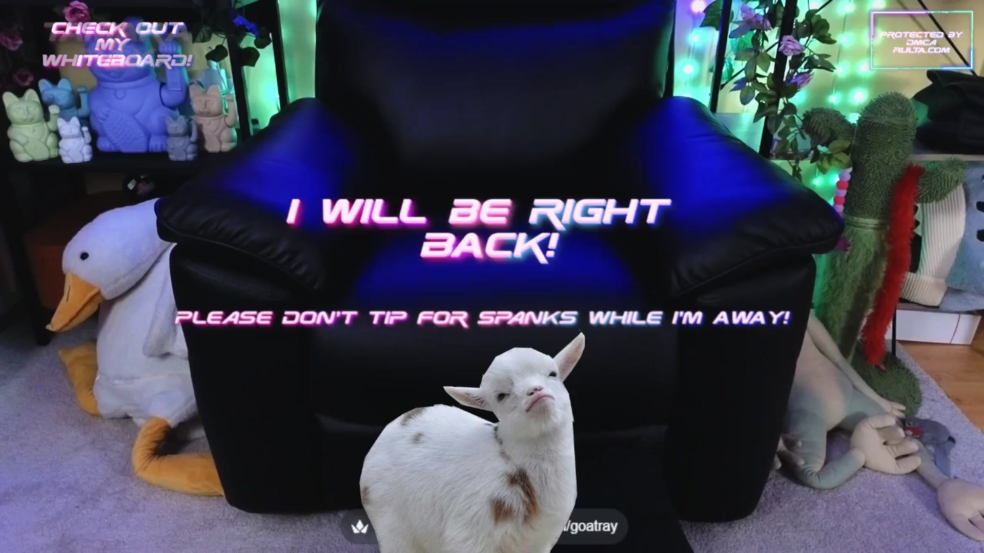 Gallery image thumbnail from TamaraRay's myfreecams stream on, 09/25/2025, 06:25 image 10 of 20