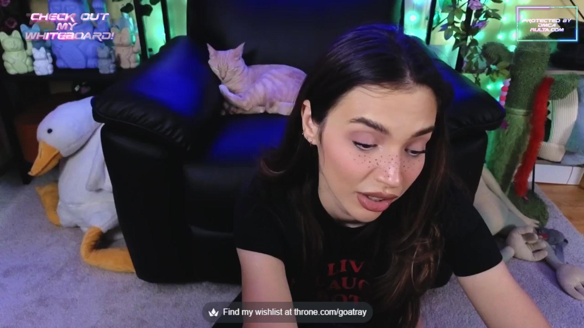 Gallery image thumbnail from TamaraRay's myfreecams stream on, 09/25/2025, 06:25 image 15 of 20