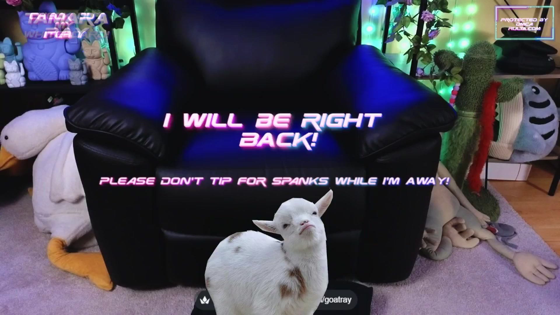 Gallery image thumbnail from TamaraRay's myfreecams stream on, 09/27/2025, 04:07 image 8 of 20