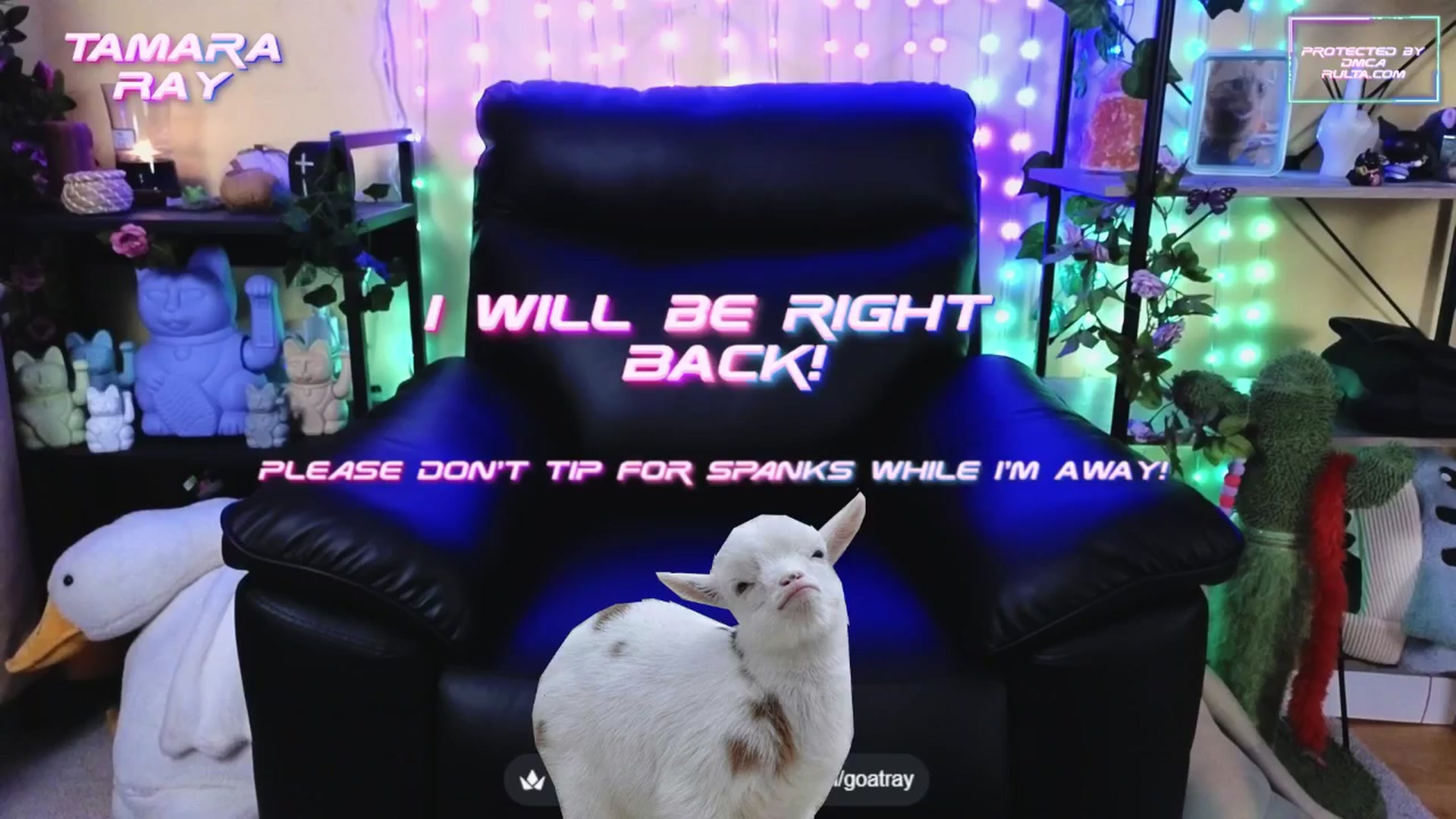 Gallery image thumbnail from TamaraRay's myfreecams stream on, 09/27/2025, 06:14 image 8 of 20