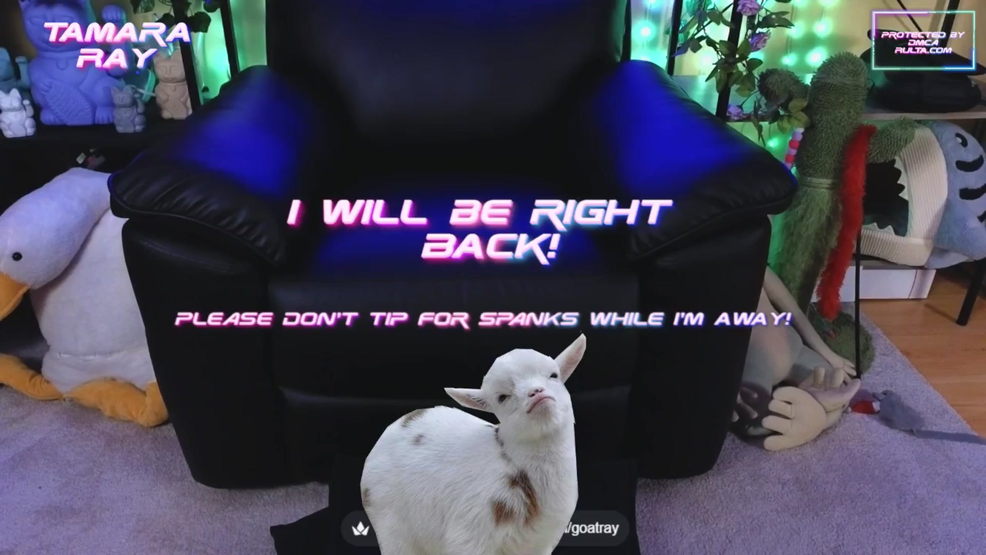 Gallery image thumbnail from TamaraRay's myfreecams stream on, 09/29/2025, 05:36 image 3 of 20