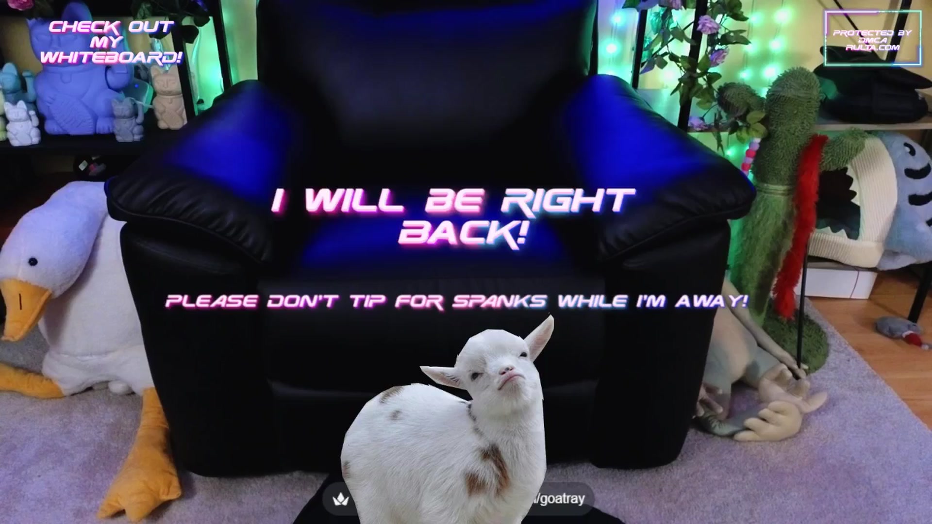 Gallery image thumbnail from TamaraRay's myfreecams stream on, 09/30/2025, 07:28 image 7 of 20