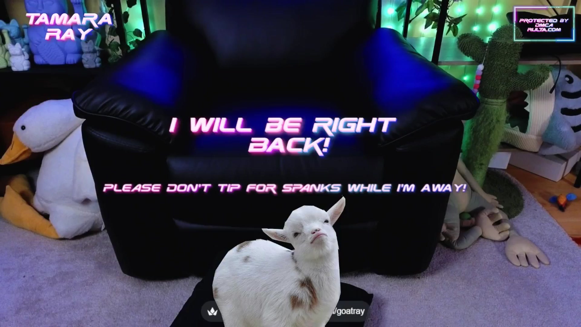 Gallery image thumbnail from TamaraRay's myfreecams stream on, 10/14/2025, 04:33 image 5 of 20