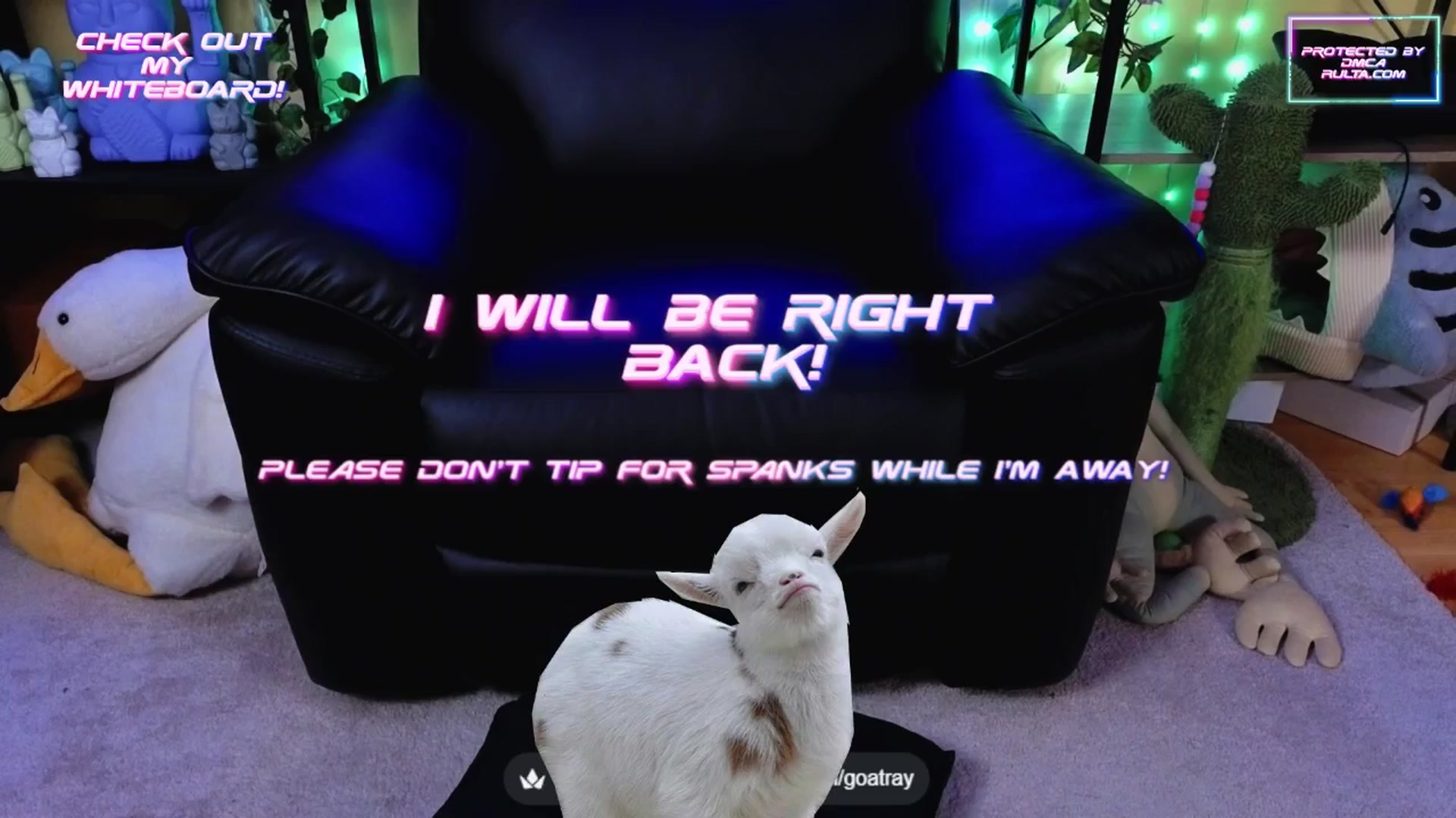 Gallery image thumbnail from TamaraRay's myfreecams stream on, 10/14/2025, 04:33 image 8 of 20