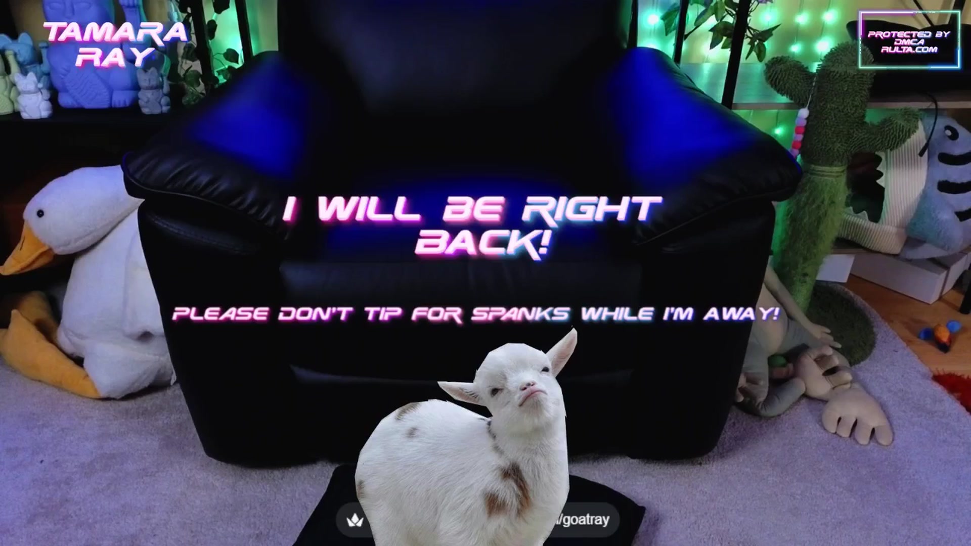 Gallery image thumbnail from TamaraRay's myfreecams stream on, 10/14/2025, 04:33 image 14 of 20