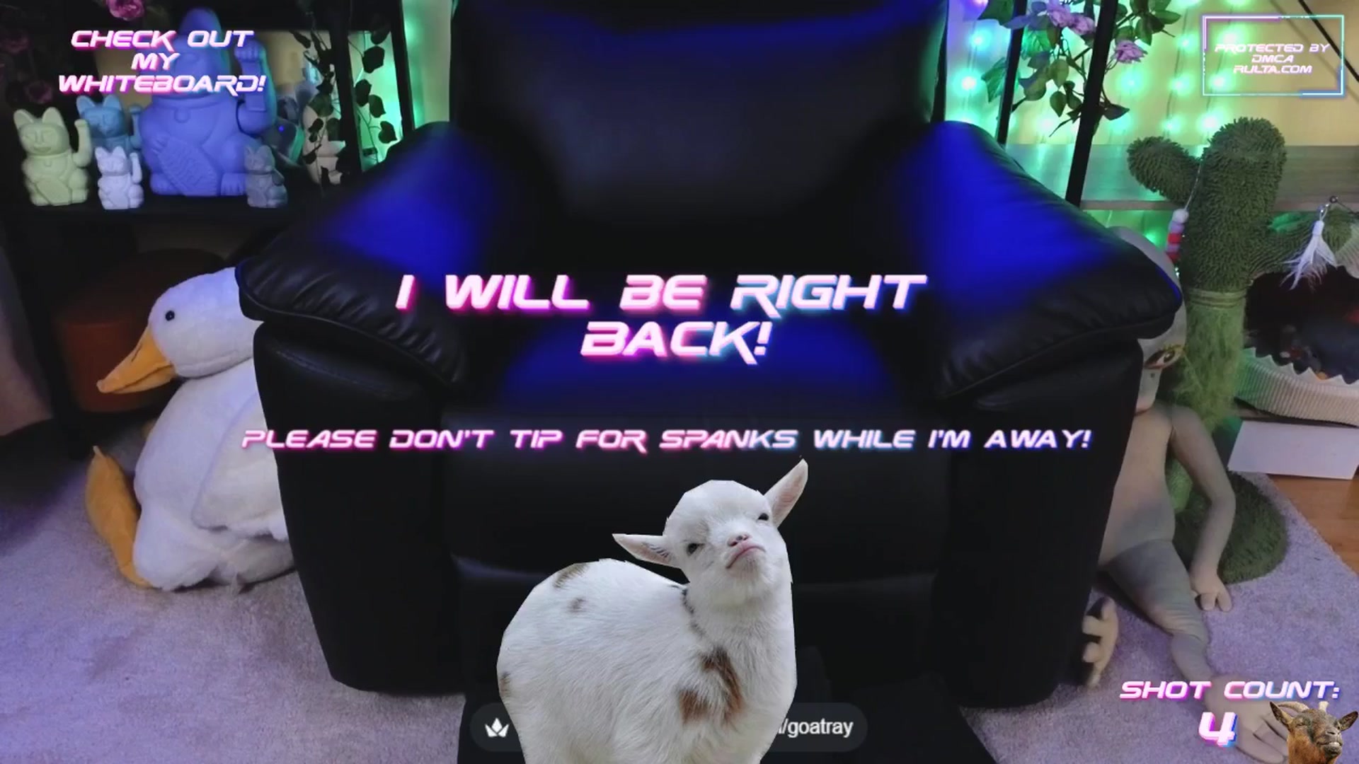 Gallery image thumbnail from TamaraRay's myfreecams stream on, 10/27/2025, 07:06 image 20 of 20