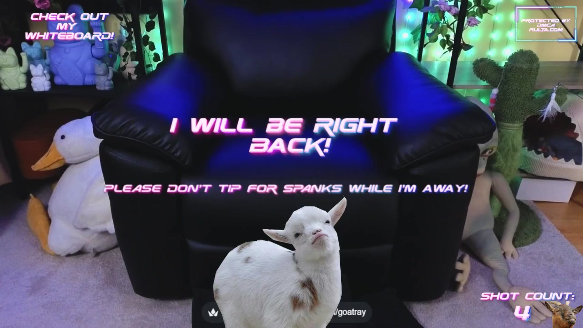 Gallery image thumbnail from TamaraRay's myfreecams stream on, 10/27/2025, 07:06 image 15 of 20