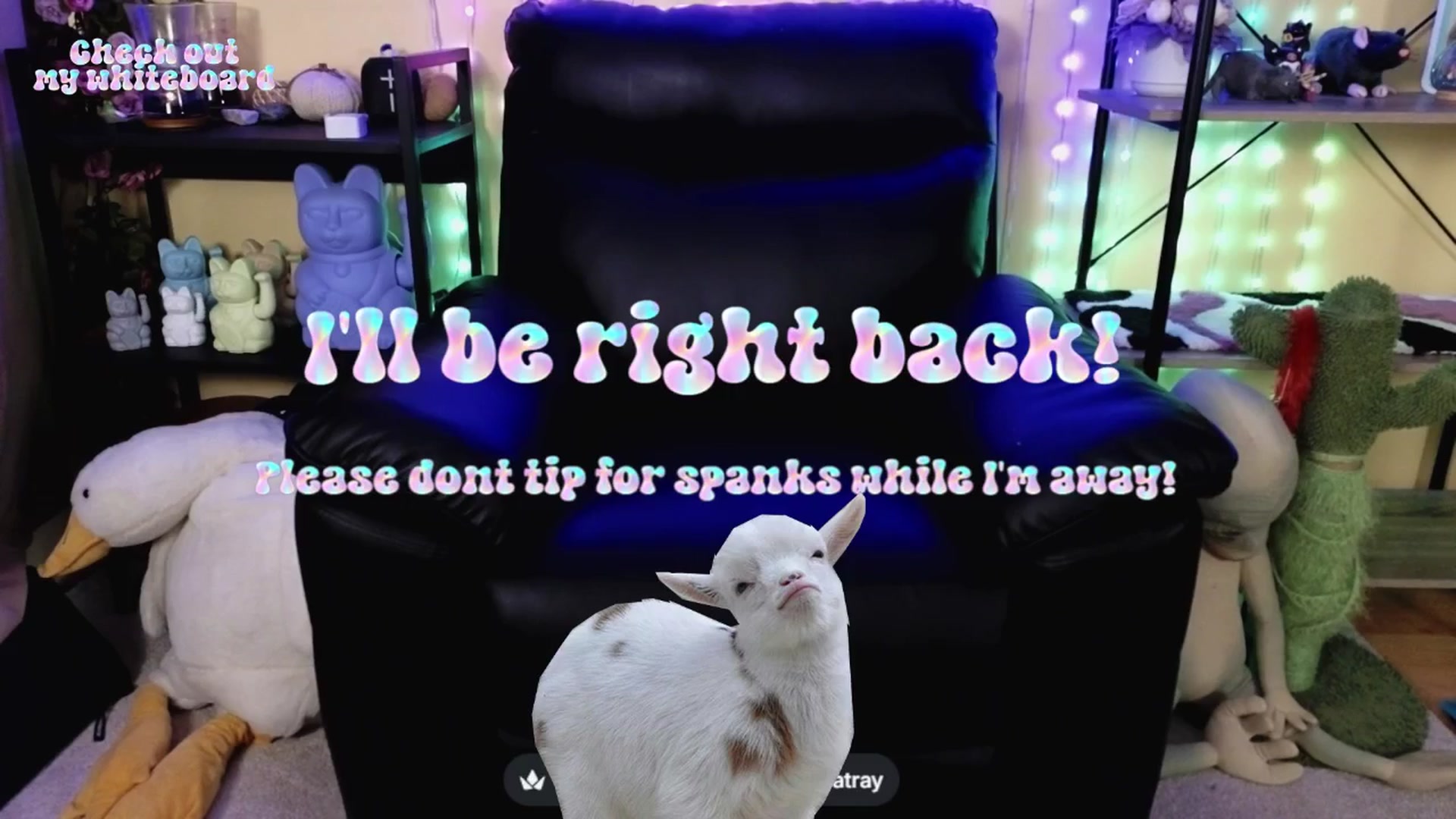 Gallery image thumbnail from TamaraRay's myfreecams stream on, 03/27/2026, 06:59 image 6 of 20
