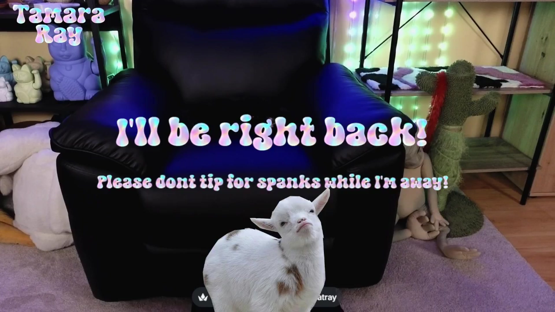 Gallery image thumbnail from TamaraRay's myfreecams stream on, 03/29/2026, 06:31 image 6 of 20