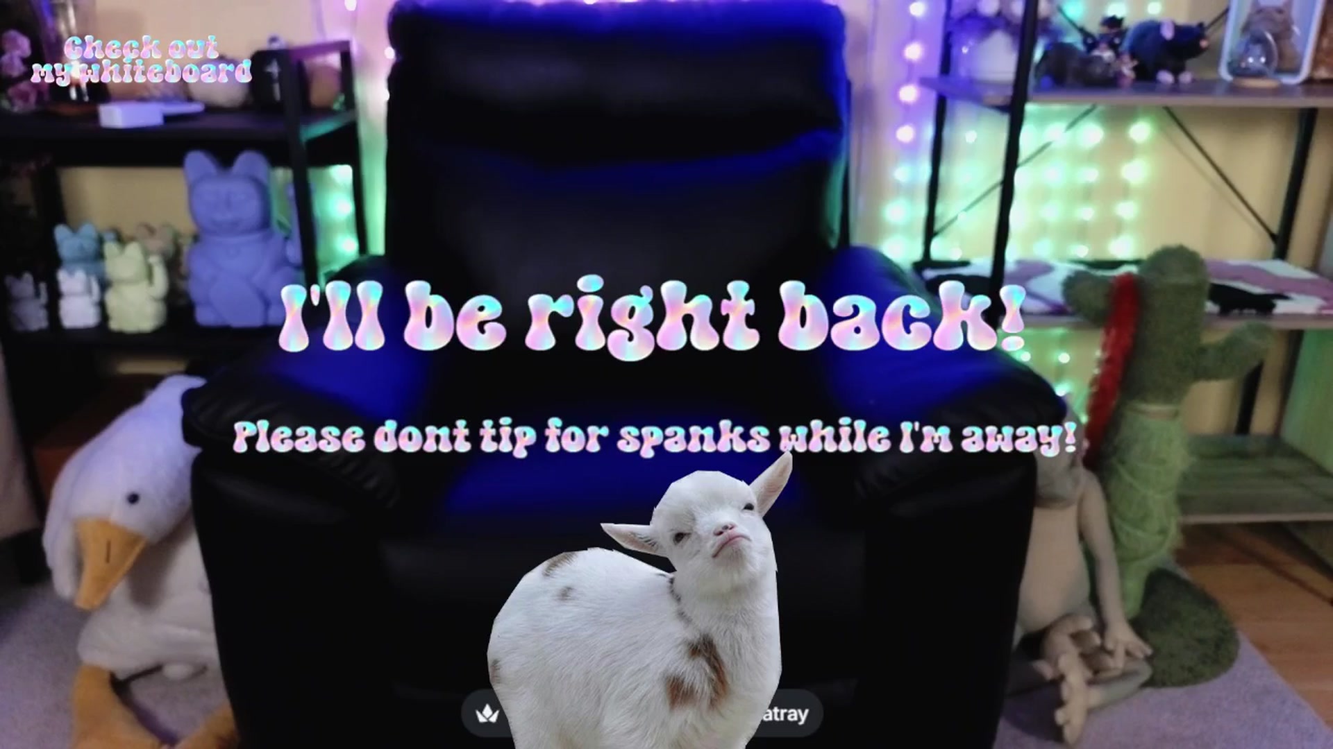Gallery image thumbnail from TamaraRay's myfreecams stream on, 03/30/2026, 07:01 image 20 of 20