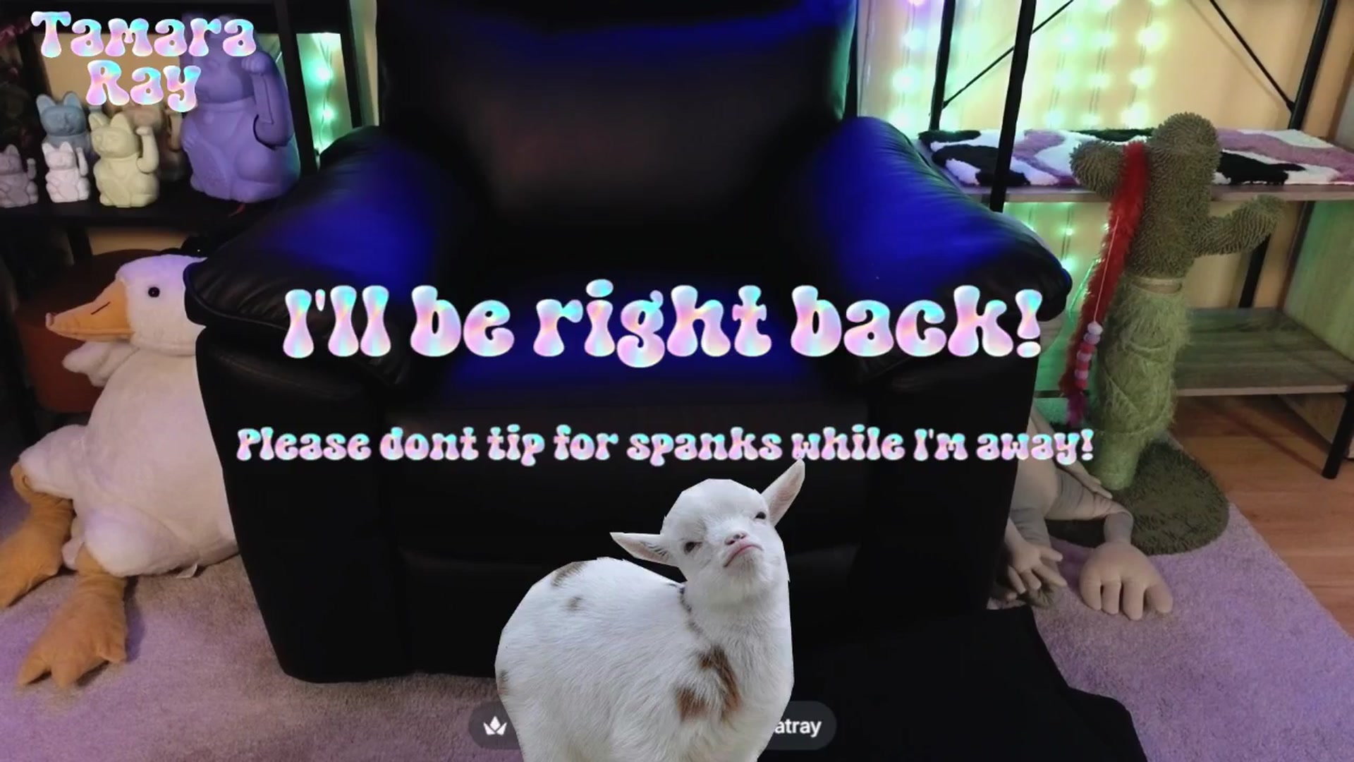 Gallery image thumbnail from TamaraRay's myfreecams stream on, 04/04/2026, 06:06 image 9 of 20