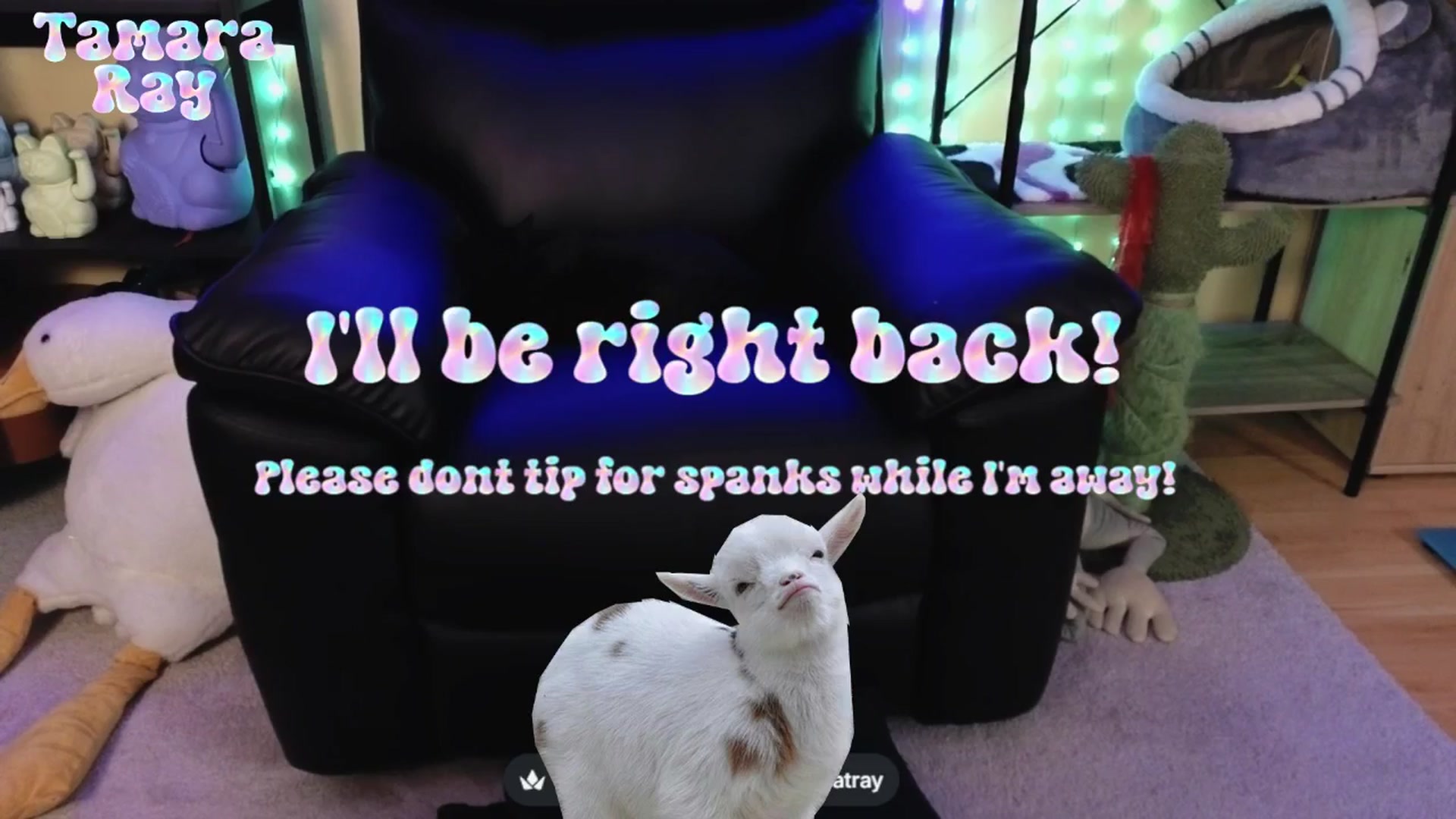 Gallery image thumbnail from TamaraRay's myfreecams stream on, 04/06/2026, 06:06 image 10 of 20