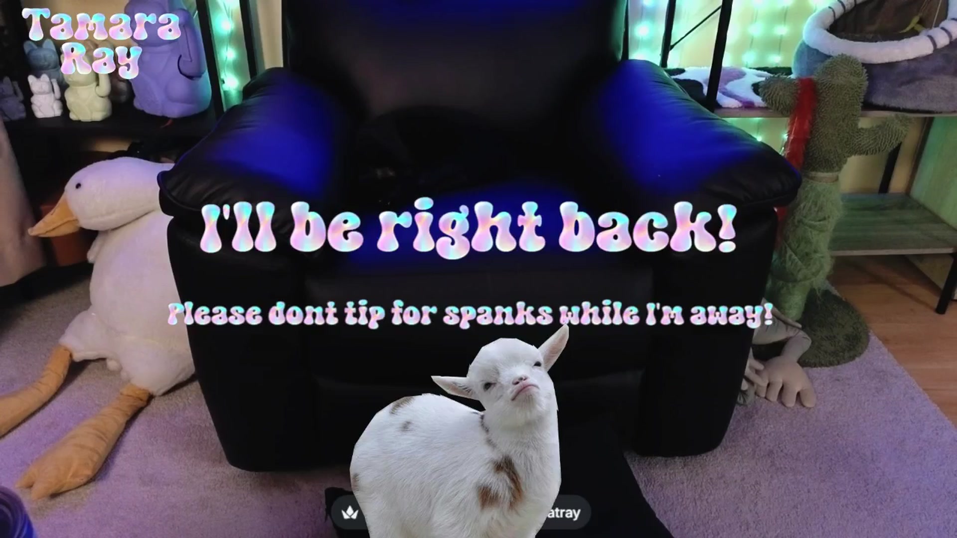 Gallery image thumbnail from TamaraRay's myfreecams stream on, 04/06/2026, 06:06 image 2 of 20