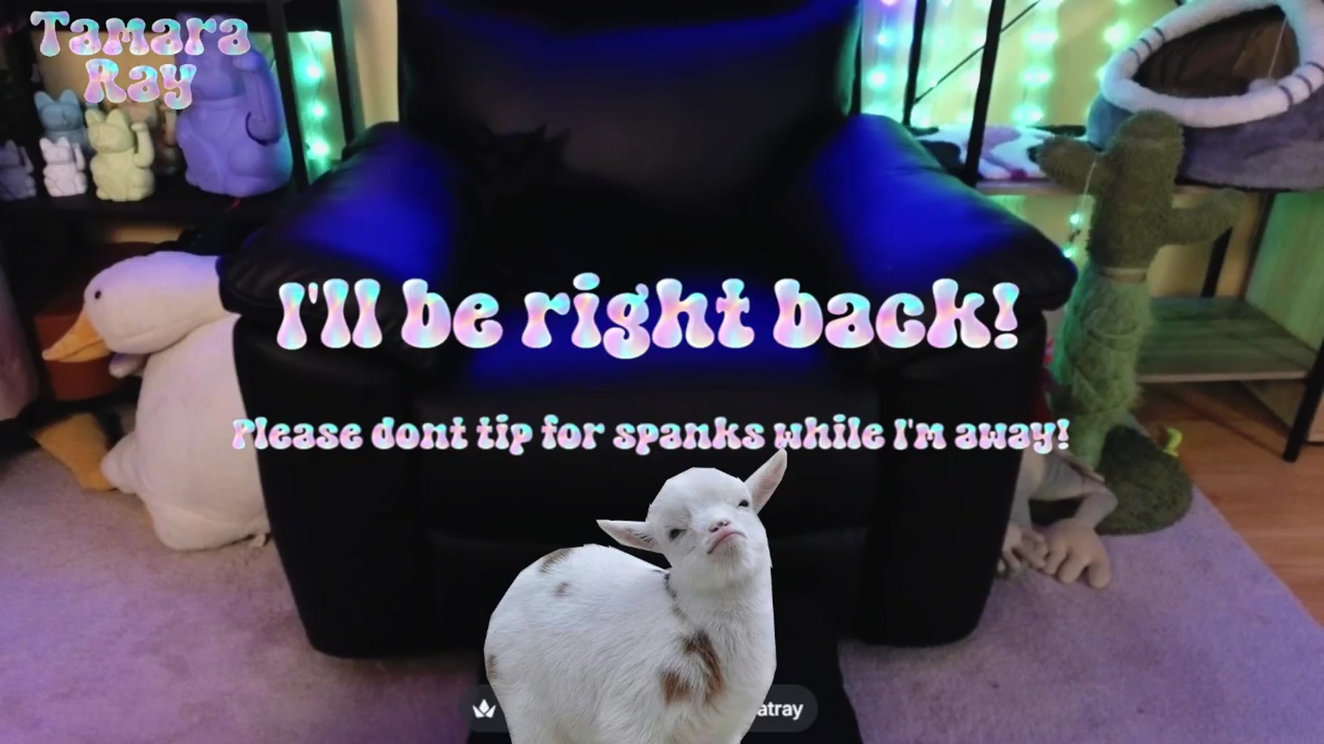 Gallery image thumbnail from TamaraRay's myfreecams stream on, 04/10/2026, 05:00 image 10 of 20