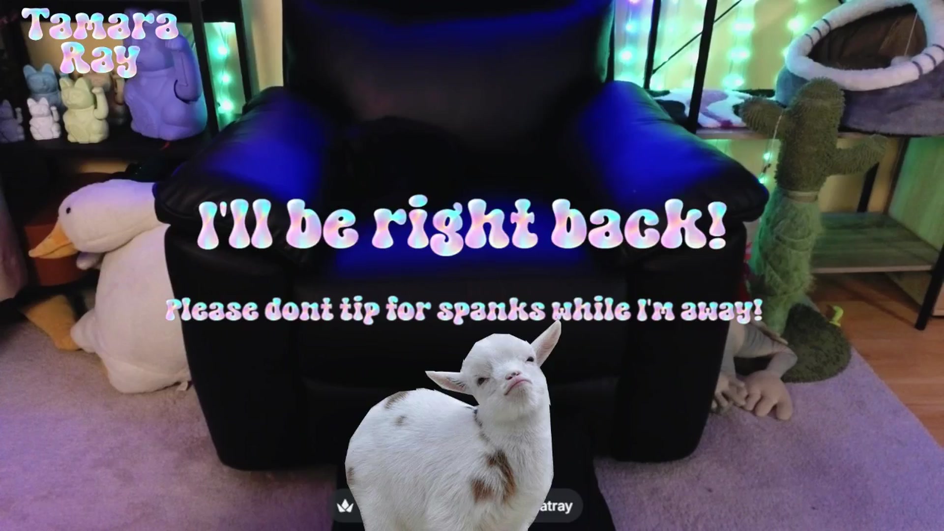 Gallery image thumbnail from TamaraRay's myfreecams stream on, 04/10/2026, 05:00 image 8 of 20