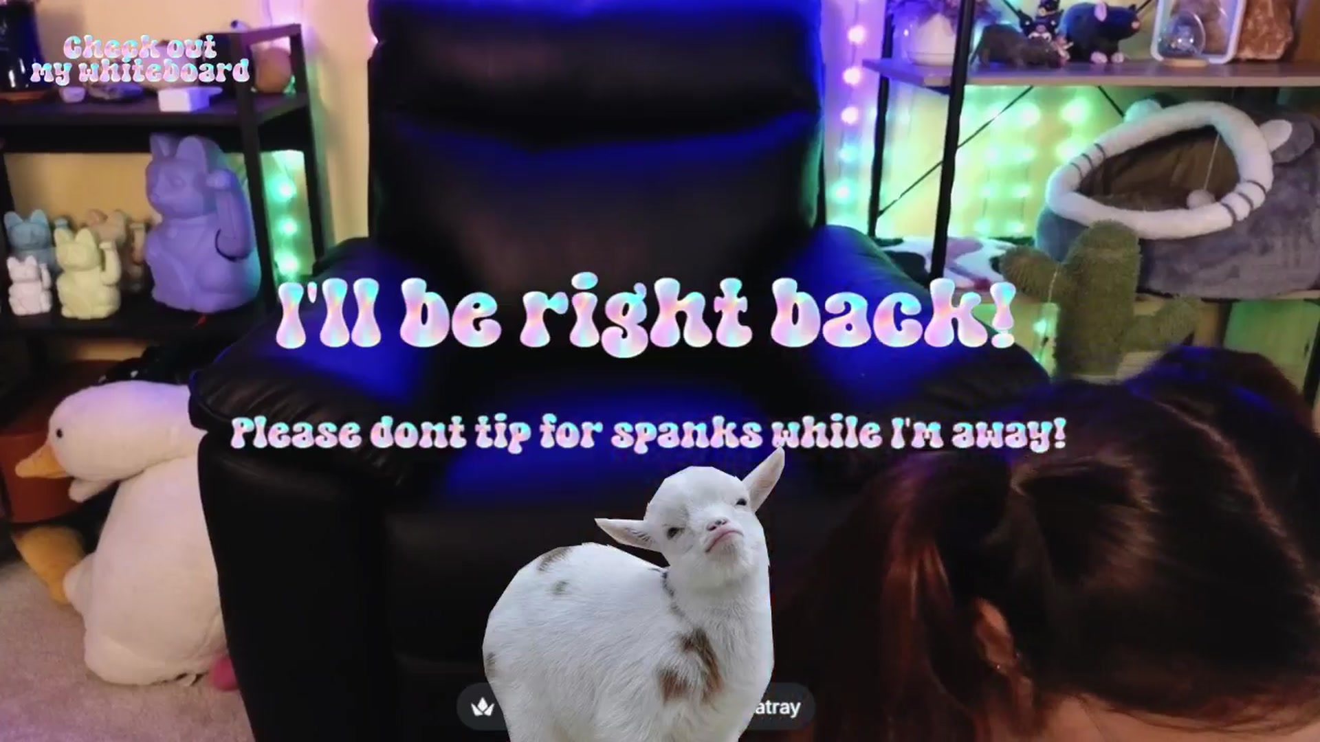 Gallery image thumbnail from TamaraRay's myfreecams stream on, 04/11/2026, 06:54 image 4 of 20