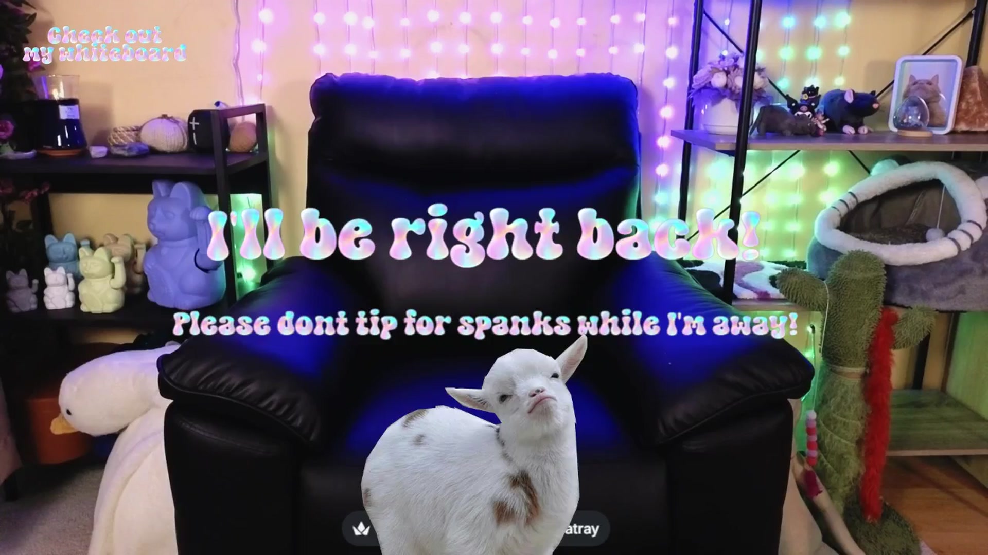 Gallery image thumbnail from TamaraRay's myfreecams stream on, 04/17/2026, 06:29 image 7 of 20