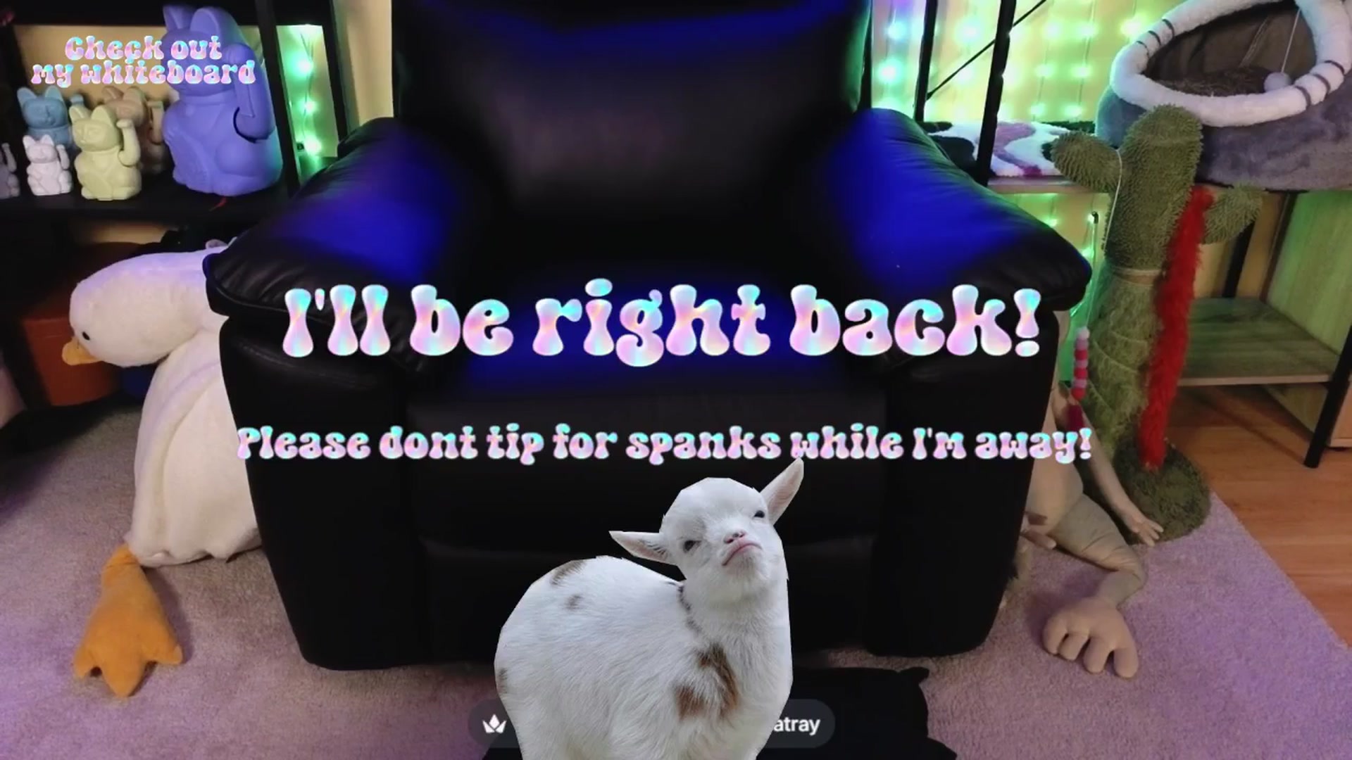 Gallery image thumbnail from TamaraRay's myfreecams stream on, 04/17/2026, 06:29 image 3 of 20