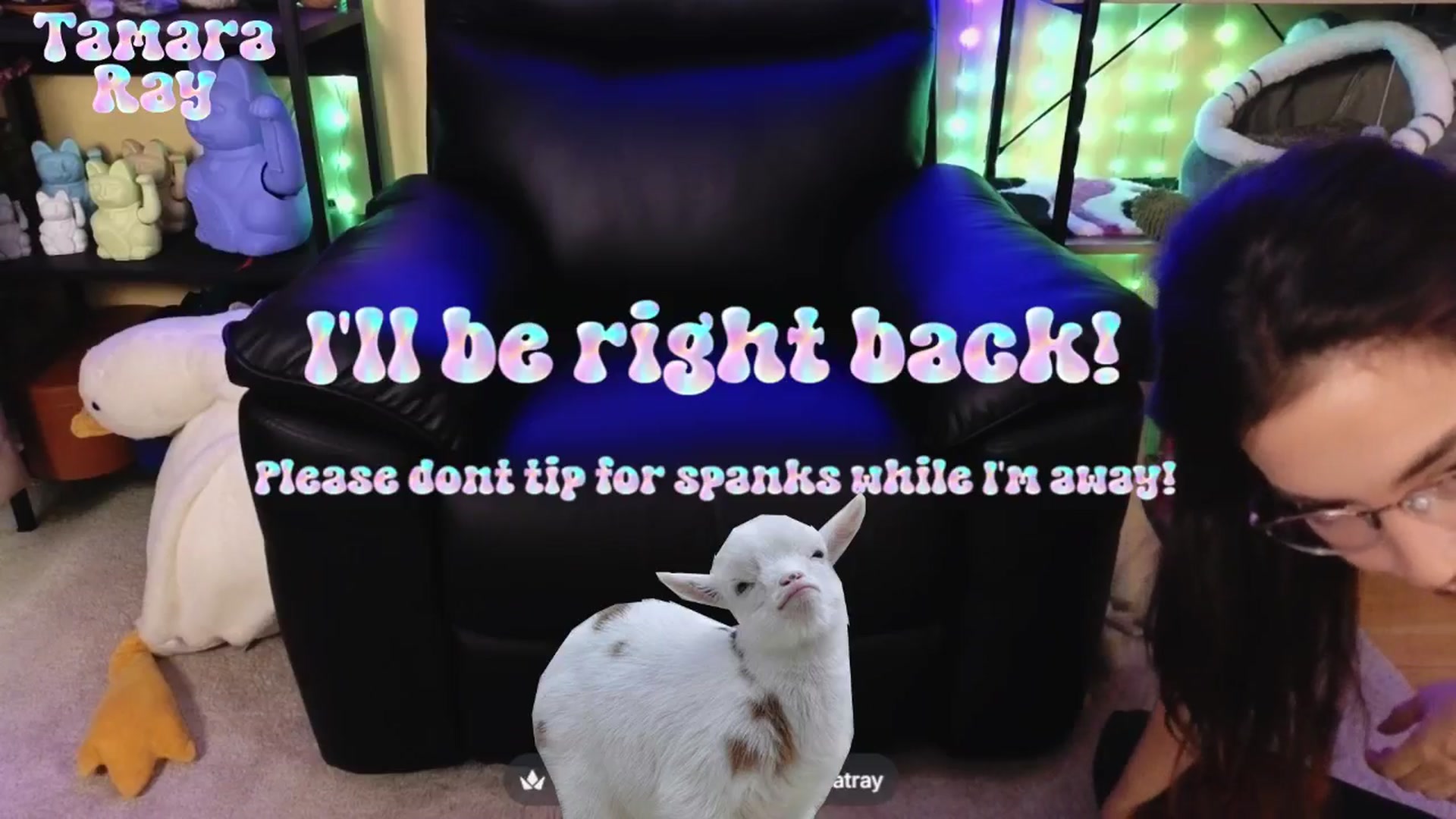 Gallery image thumbnail from TamaraRay's myfreecams stream on, 04/17/2026, 06:29 image 13 of 20
