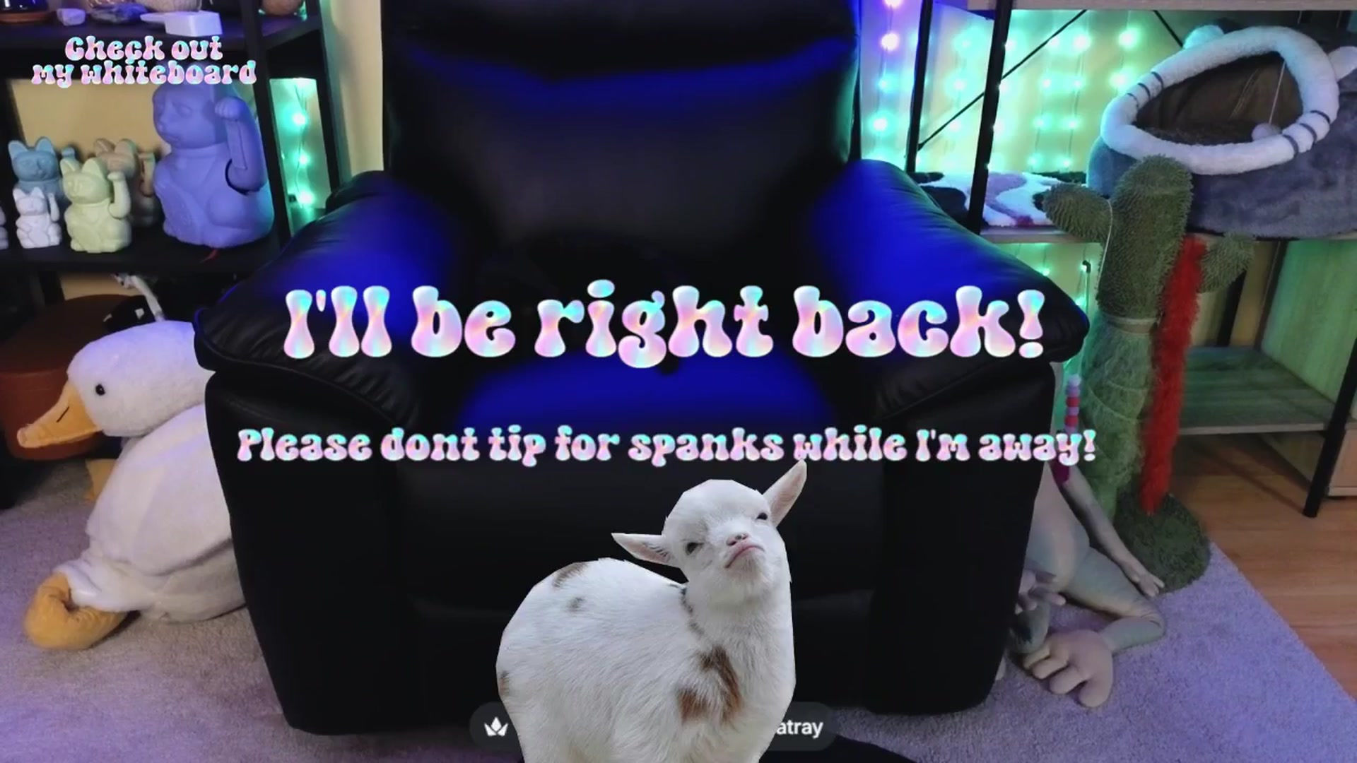 Gallery image thumbnail from TamaraRay's myfreecams stream on, 04/19/2026, 03:22 image 11 of 20