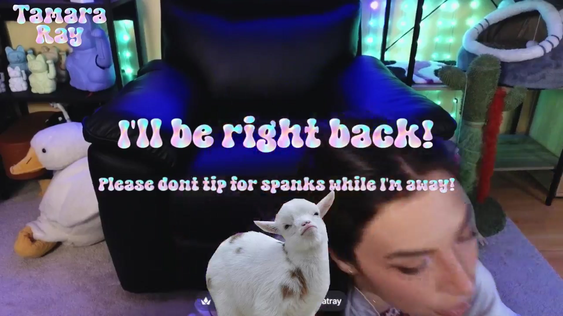 Gallery image thumbnail from TamaraRay's myfreecams stream on, 04/19/2026, 03:22 image 17 of 20