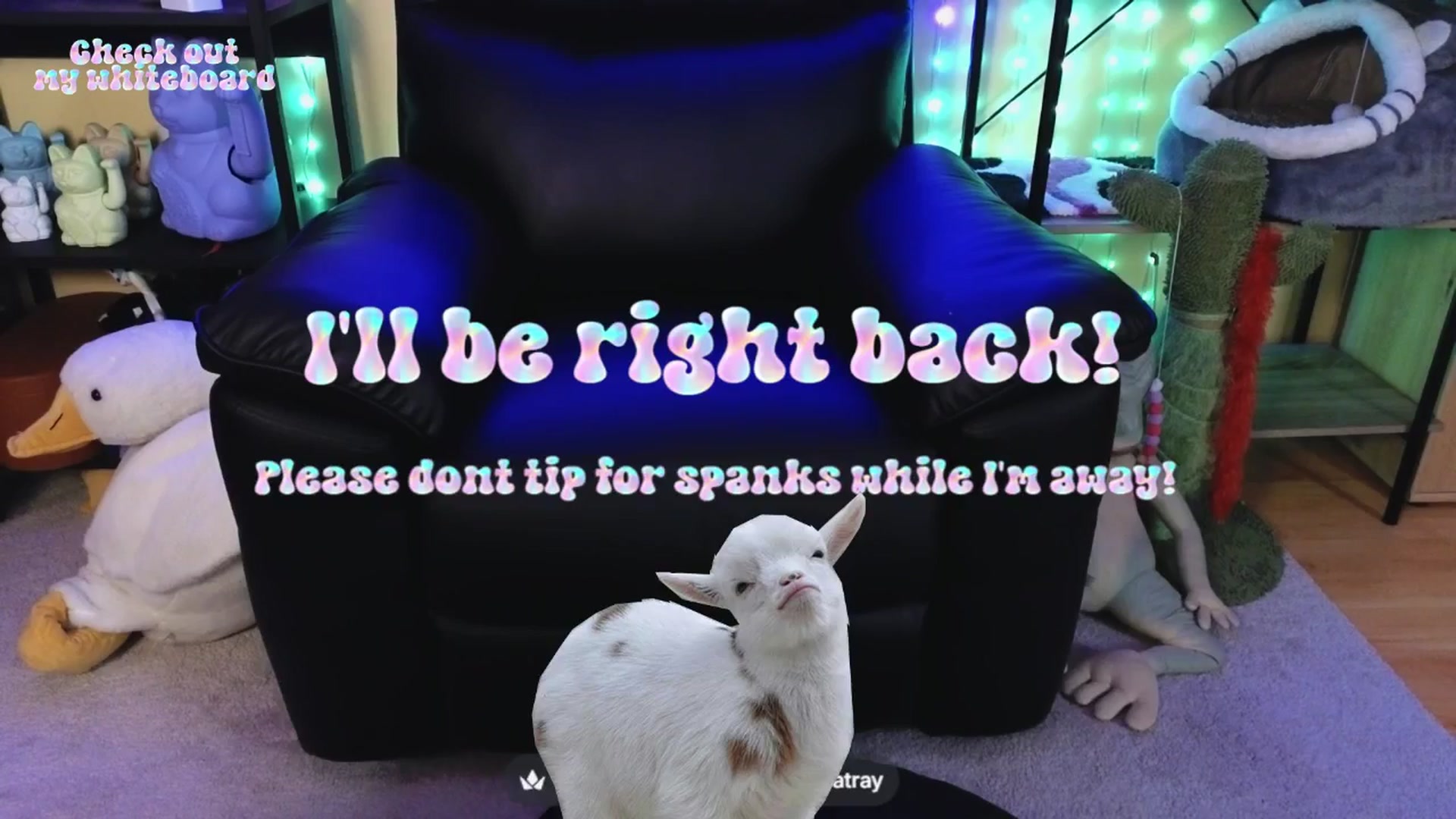 Gallery image thumbnail from TamaraRay's myfreecams stream on, 04/19/2026, 03:22 image 18 of 20