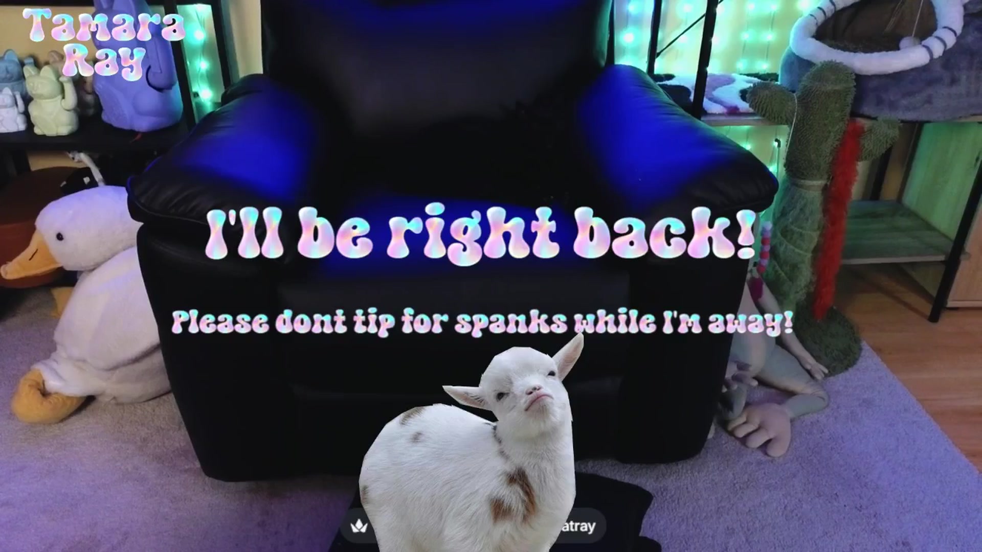 Gallery image thumbnail from TamaraRay's myfreecams stream on, 04/19/2026, 03:22 image 4 of 20