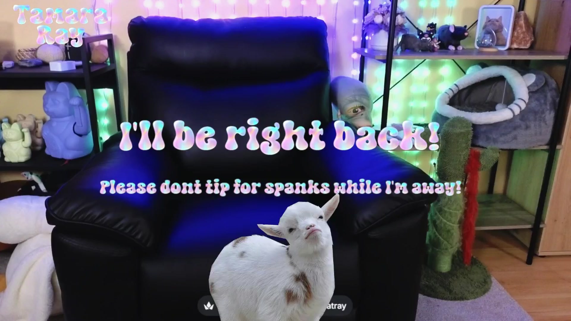 Gallery image thumbnail from TamaraRay's myfreecams stream on, 04/20/2026, 05:46 image 11 of 20