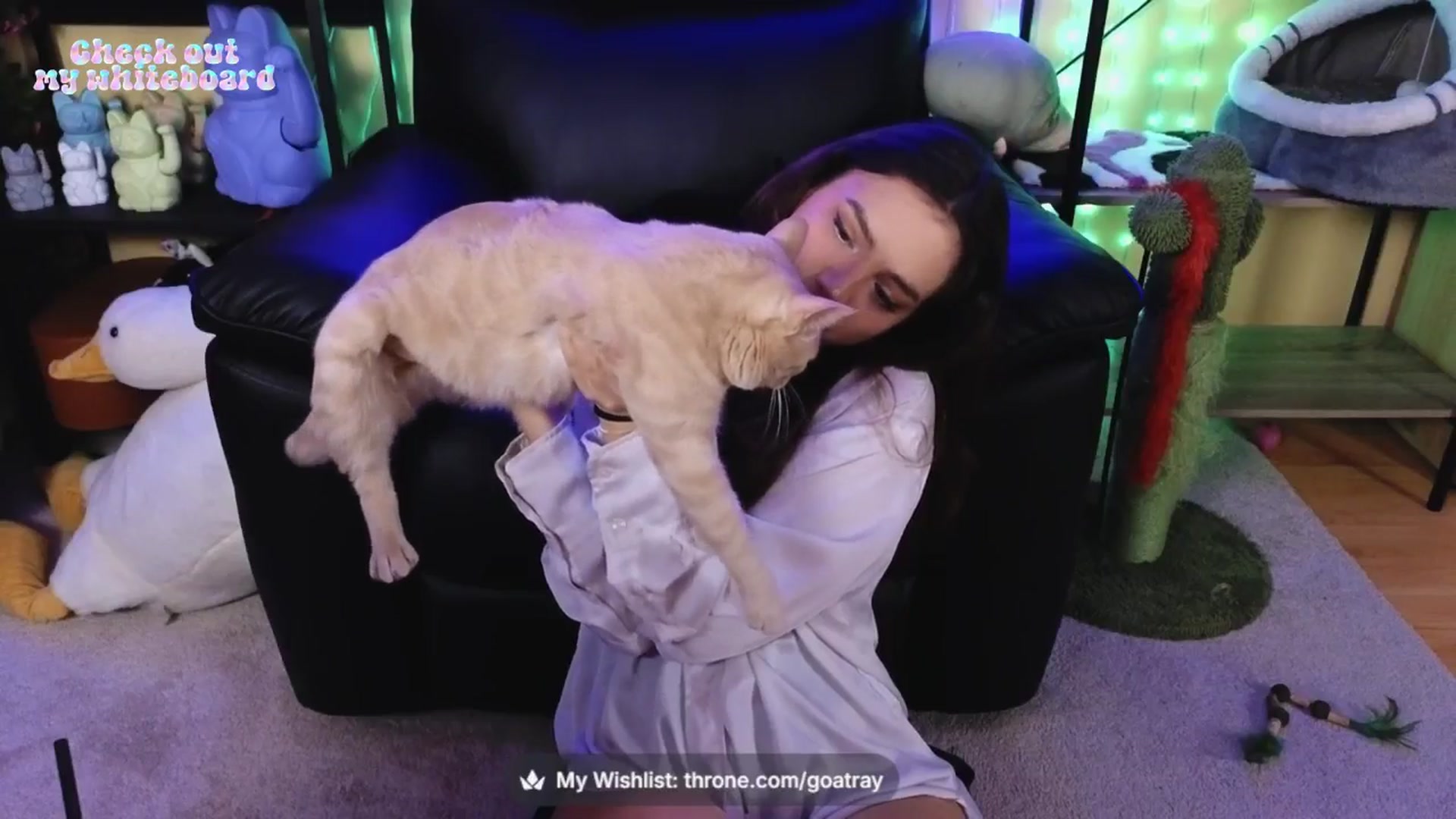 Gallery image thumbnail from TamaraRay's myfreecams stream on, 04/24/2026, 02:41 image 7 of 20