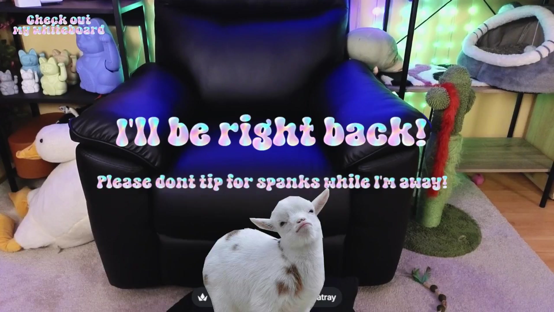 Gallery image thumbnail from TamaraRay's myfreecams stream on, 04/24/2026, 06:04 image 14 of 20