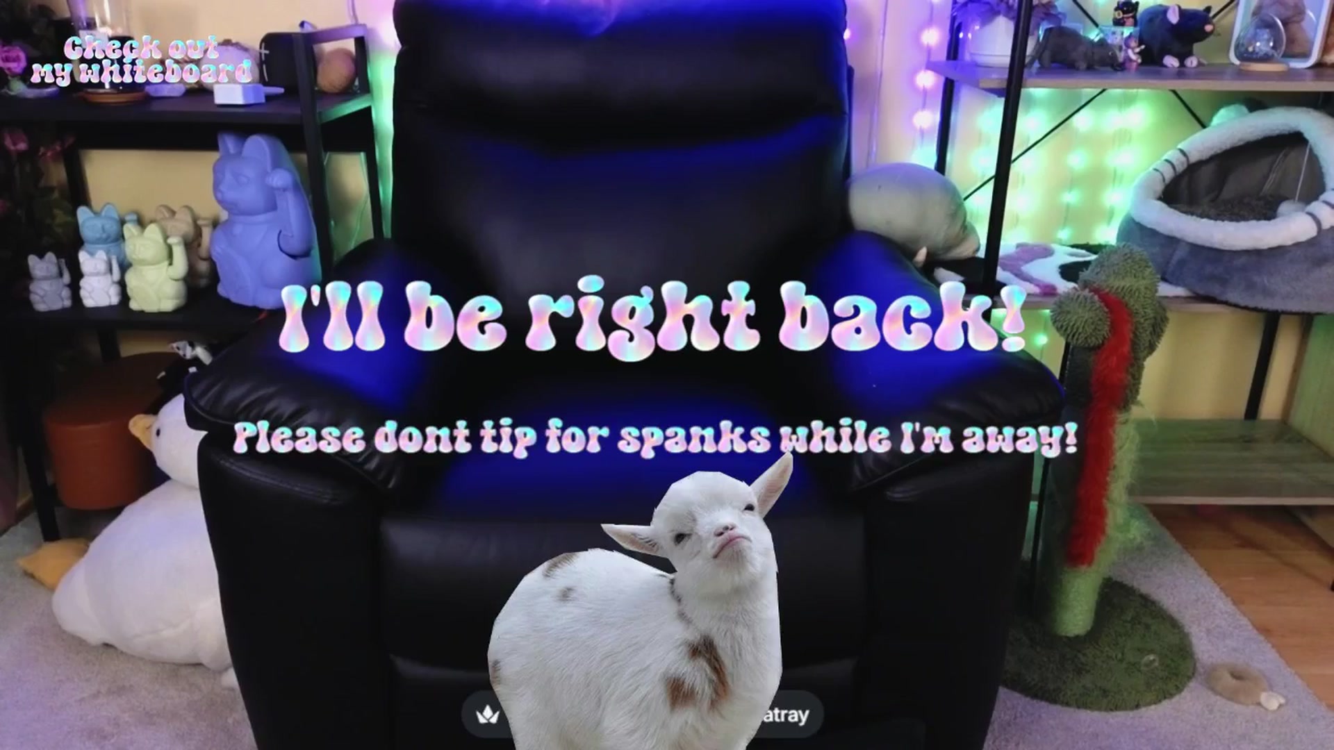 Gallery image thumbnail from TamaraRay's myfreecams stream on, 04/26/2026, 05:18 image 16 of 20